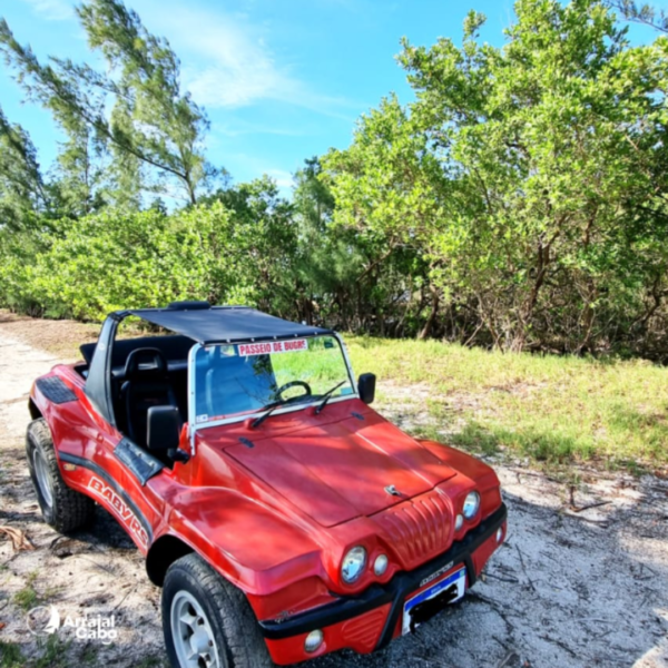 Passeio de Buggy na Praia do Pneu - Imagem 2